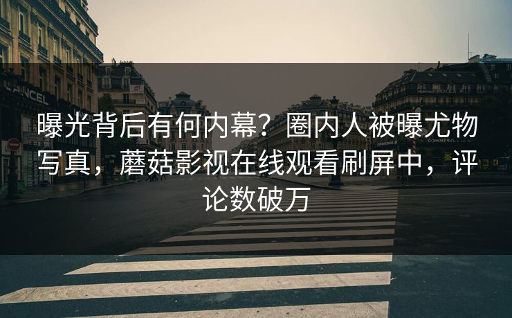 曝光背后有何内幕？圈内人被曝尤物写真，蘑菇影视在线观看刷屏中，评论数破万