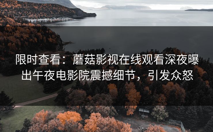 限时查看：蘑菇影视在线观看深夜曝出午夜电影院震撼细节，引发众怒