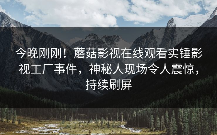 今晚刚刚！蘑菇影视在线观看实锤影视工厂事件，神秘人现场令人震惊，持续刷屏