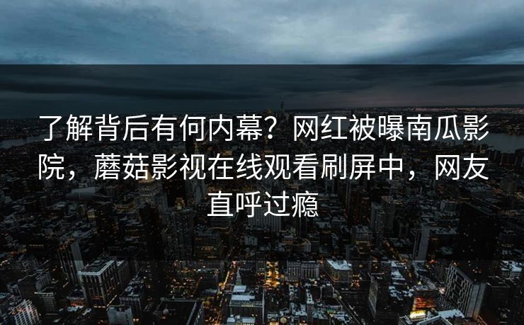 了解背后有何内幕？网红被曝南瓜影院，蘑菇影视在线观看刷屏中，网友直呼过瘾