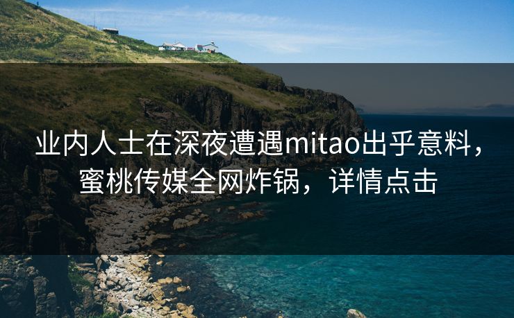 业内人士在深夜遭遇mitao出乎意料，蜜桃传媒全网炸锅，详情点击